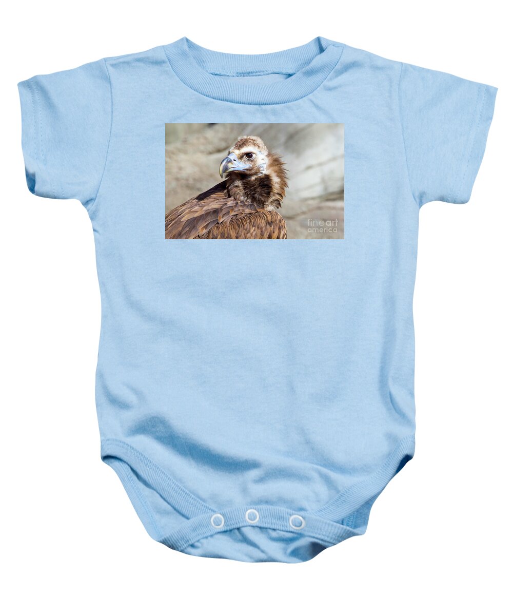 Cinereous Vulture Baby Onesie featuring the photograph Cinereous Vulture #1 by Shirley Dutchkowski