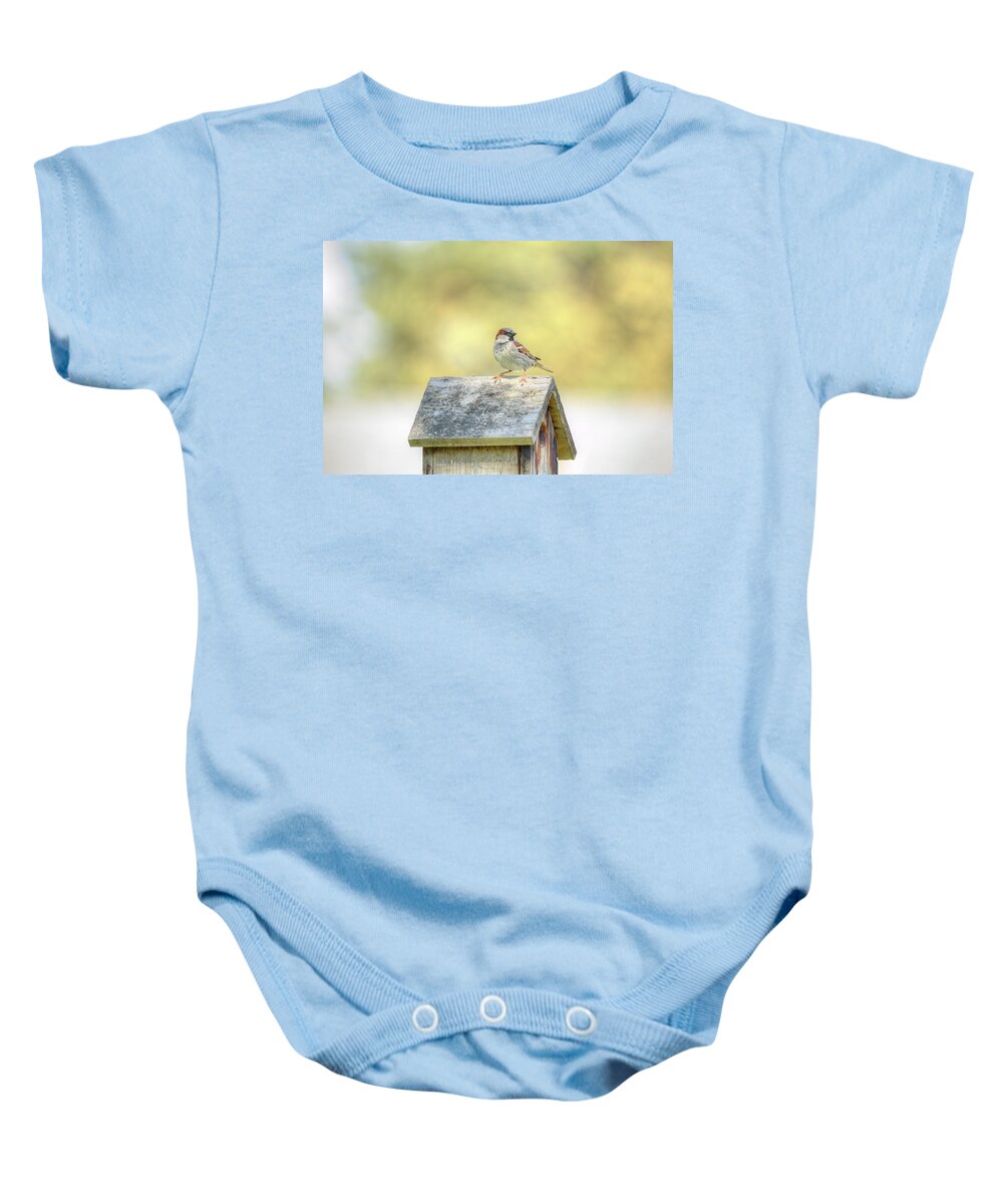 Bird Baby Onesie featuring the photograph Common Sparrow by Loyd Towe Photography