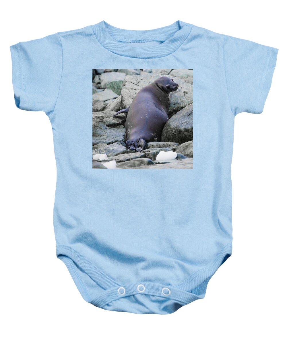 03feb20 Baby Onesie featuring the photograph Don't Look Back - Leopard Seal by Jeff at JSJ Photography