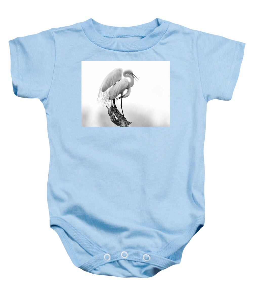Great Egret Baby Onesie featuring the photograph Made for Each Other by Puttaswamy Ravishankar
