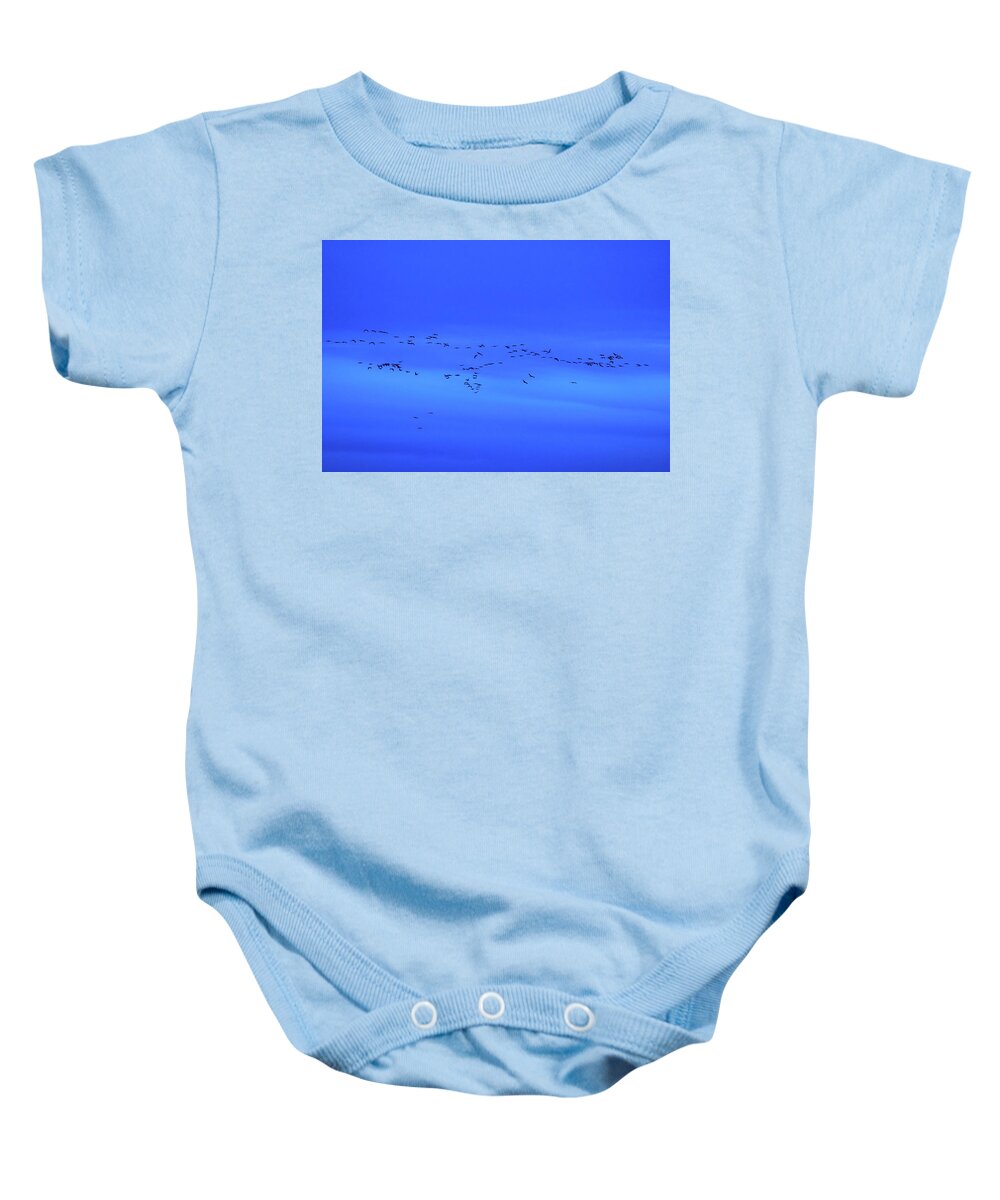 Finland Baby Onesie featuring the photograph Eurasian crane blues and sounds by Jouko Lehto