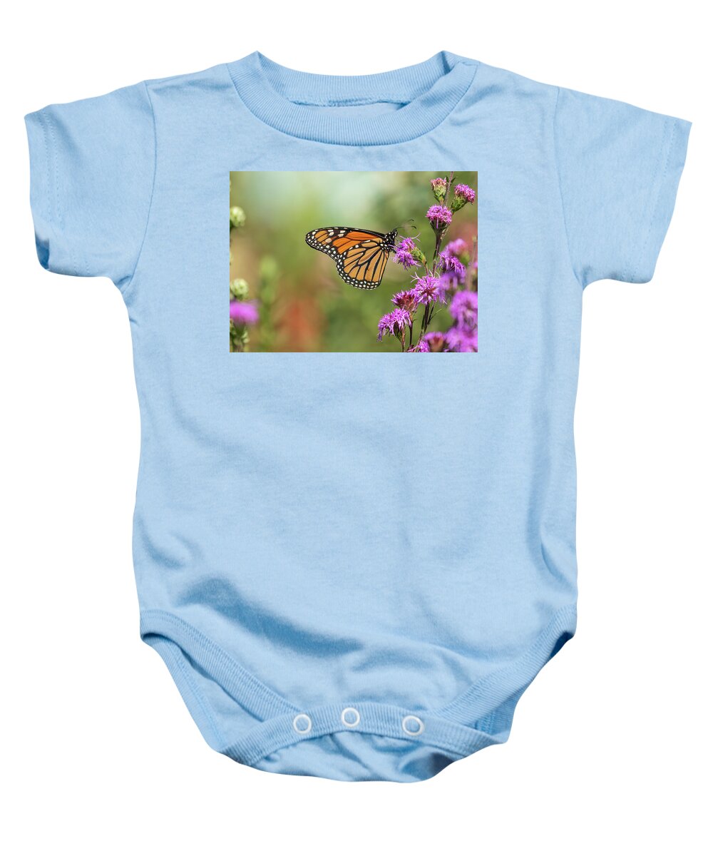Monarch Butterfly Baby Onesie featuring the photograph Fall Monarch 2016-10 by Thomas Young