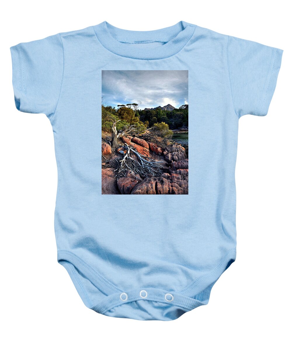 Fallen Baby Onesie featuring the photograph Fallen tree pano by Andrei SKY