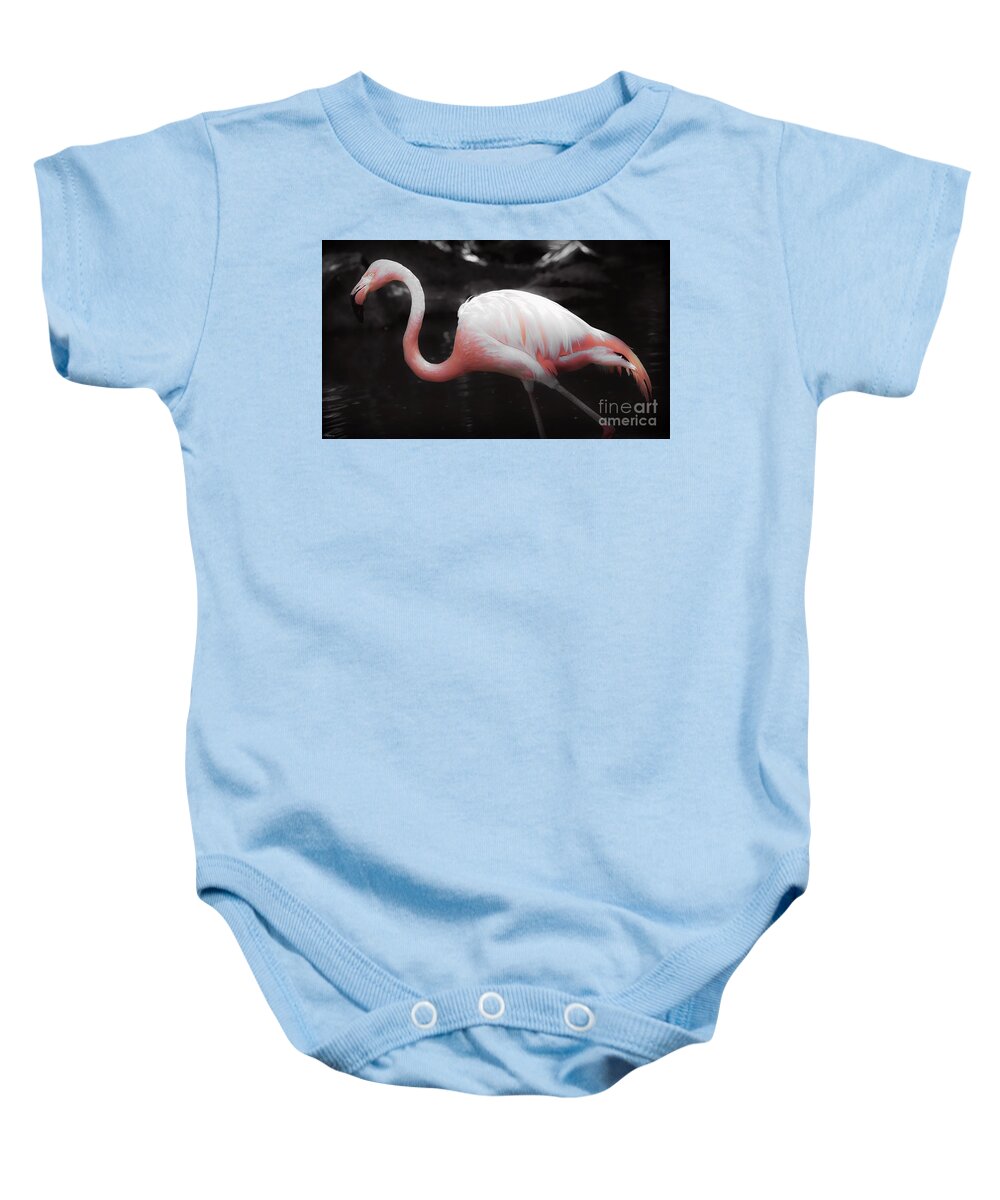 Flamingo Baby Onesie featuring the photograph Feathers by Veronica Batterson