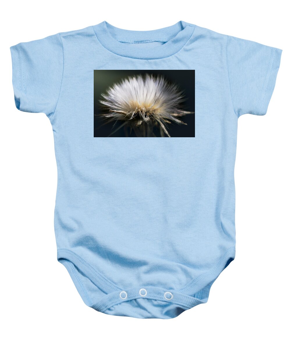 Dandelion Baby Onesie featuring the photograph Fluffy Dandelion by Carrie Hannigan