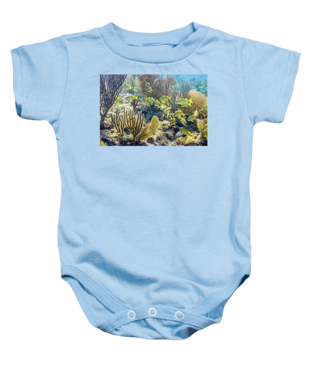 Animals Baby Onesie featuring the photograph French Class by Lynne Browne