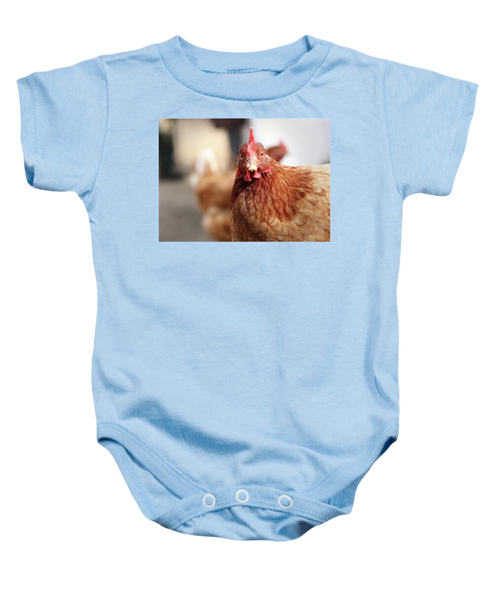 Salute Baby Onesie featuring the photograph Funny expression of domestic hen on the garden by Vaclav Sonnek