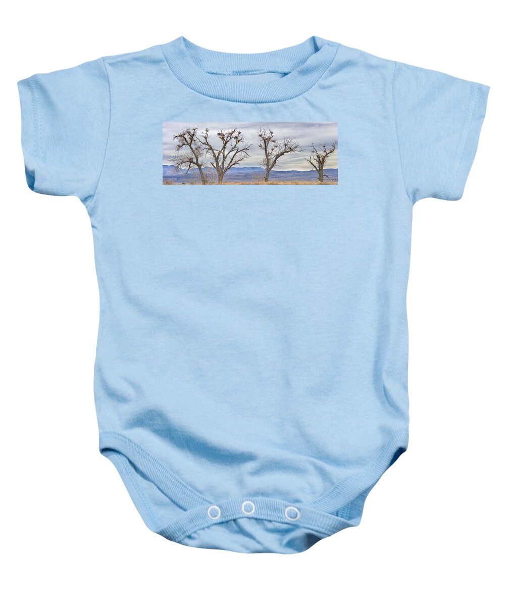 Stillwater Wildlife Refuge Baby Onesie featuring the photograph Great Blue Heron Rookery by Rick Mosher