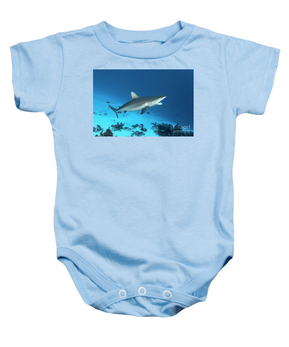 Grey Reef Shark Baby Onesie featuring the photograph The Patient Grey Reef Shark At The Cleaning Station by Norbert Probst