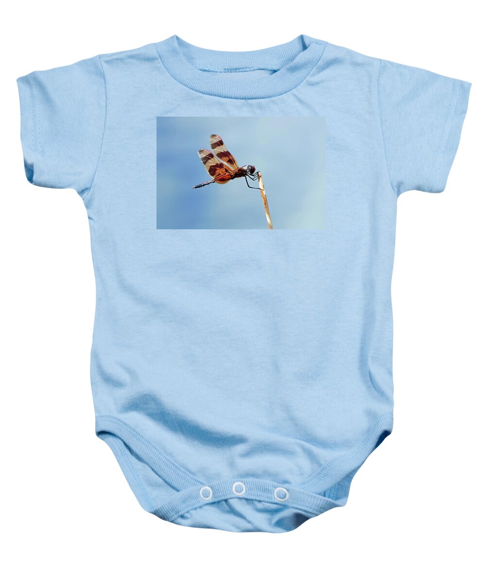 Dragon Fly Baby Onesie featuring the photograph Holding on for dear life by Carl Sheffer