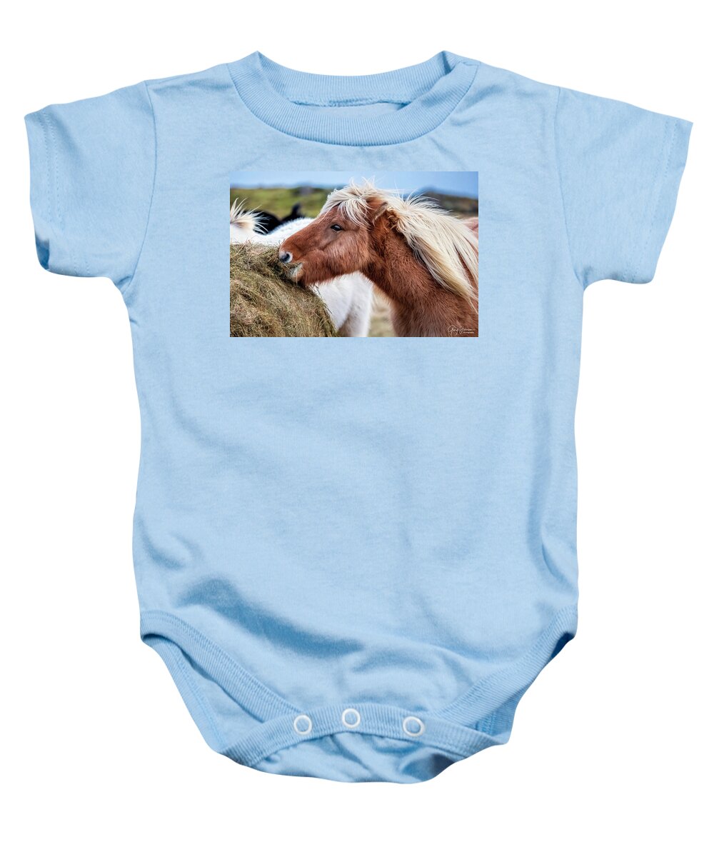 Iceland Baby Onesie featuring the photograph Icelandic Farm Horse by Gary Johnson