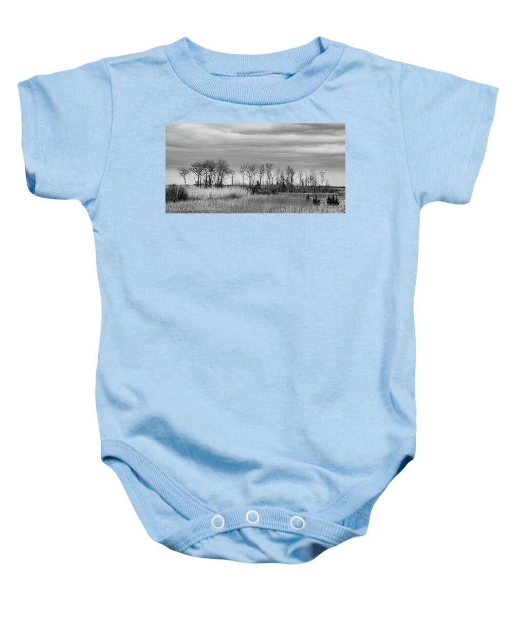 Trees Baby Onesie featuring the photograph Island Sentries by David Lee