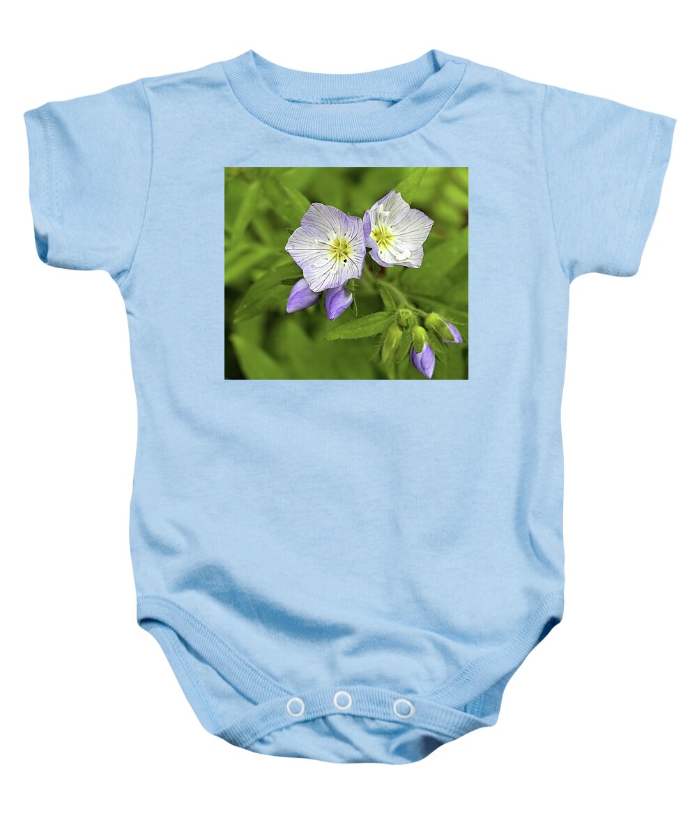 Flowers Baby Onesie featuring the photograph Jacobs Ladder by Bob Falcone