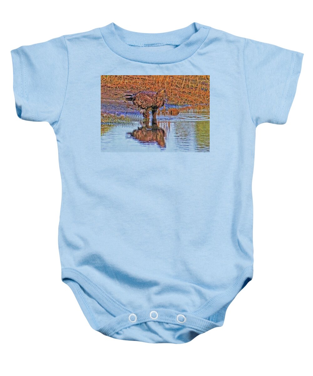 Bald Eagle Baby Onesie featuring the photograph Juvenile Bald Eagle by HH Photography of Florida