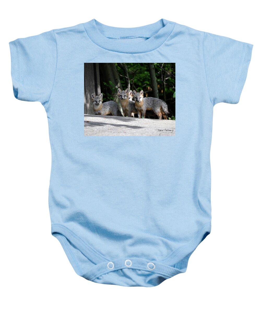 Kit Fox Baby Onesie featuring the photograph Kit Fox9 by Torie Tiffany