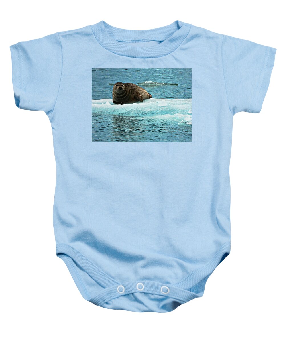 Seal Baby Onesie featuring the photograph Lazy afternoon by Judy Stepanian
