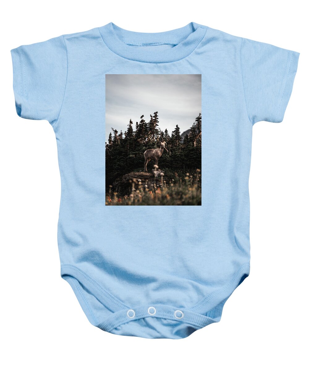  Baby Onesie featuring the photograph Little Bighorn by William Boggs