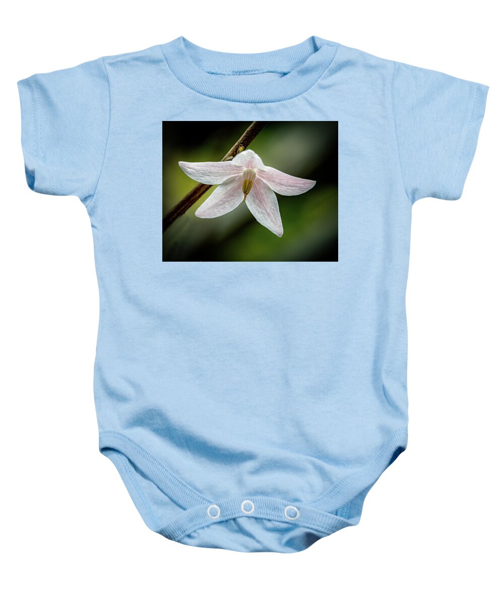 Cherry Baby Onesie featuring the photograph Melliodendron by Rick Nelson
