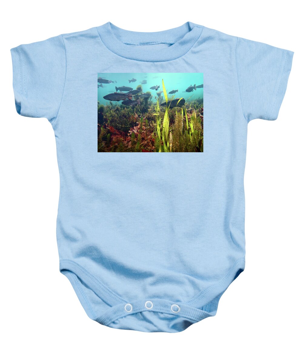 Fish Baby Onesie featuring the photograph Meramac Spring by Robert Charity