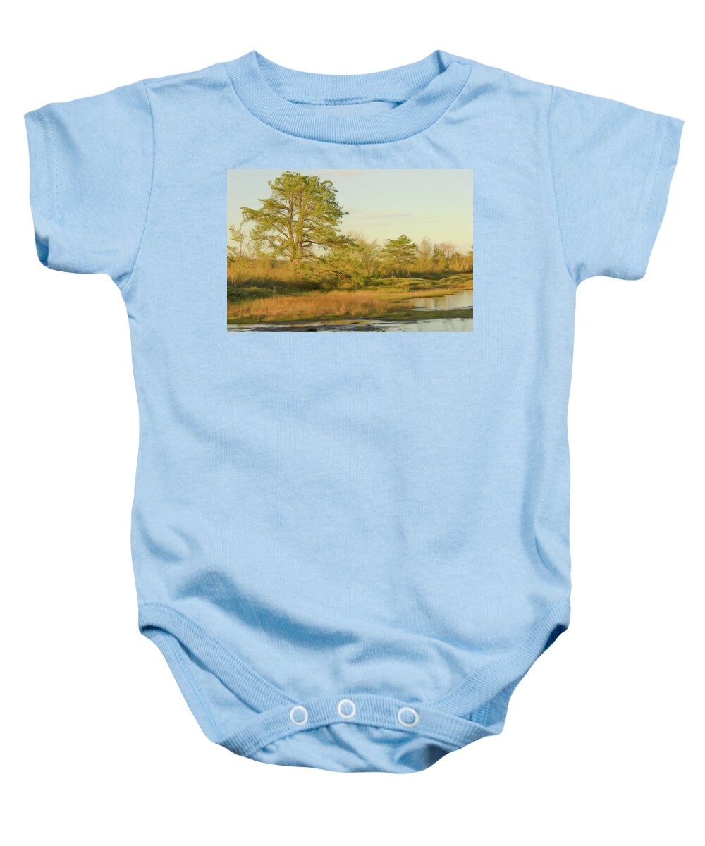 Pitch Pine Baby Onesie featuring the photograph My Favorite Pine 1 by Beth Venner