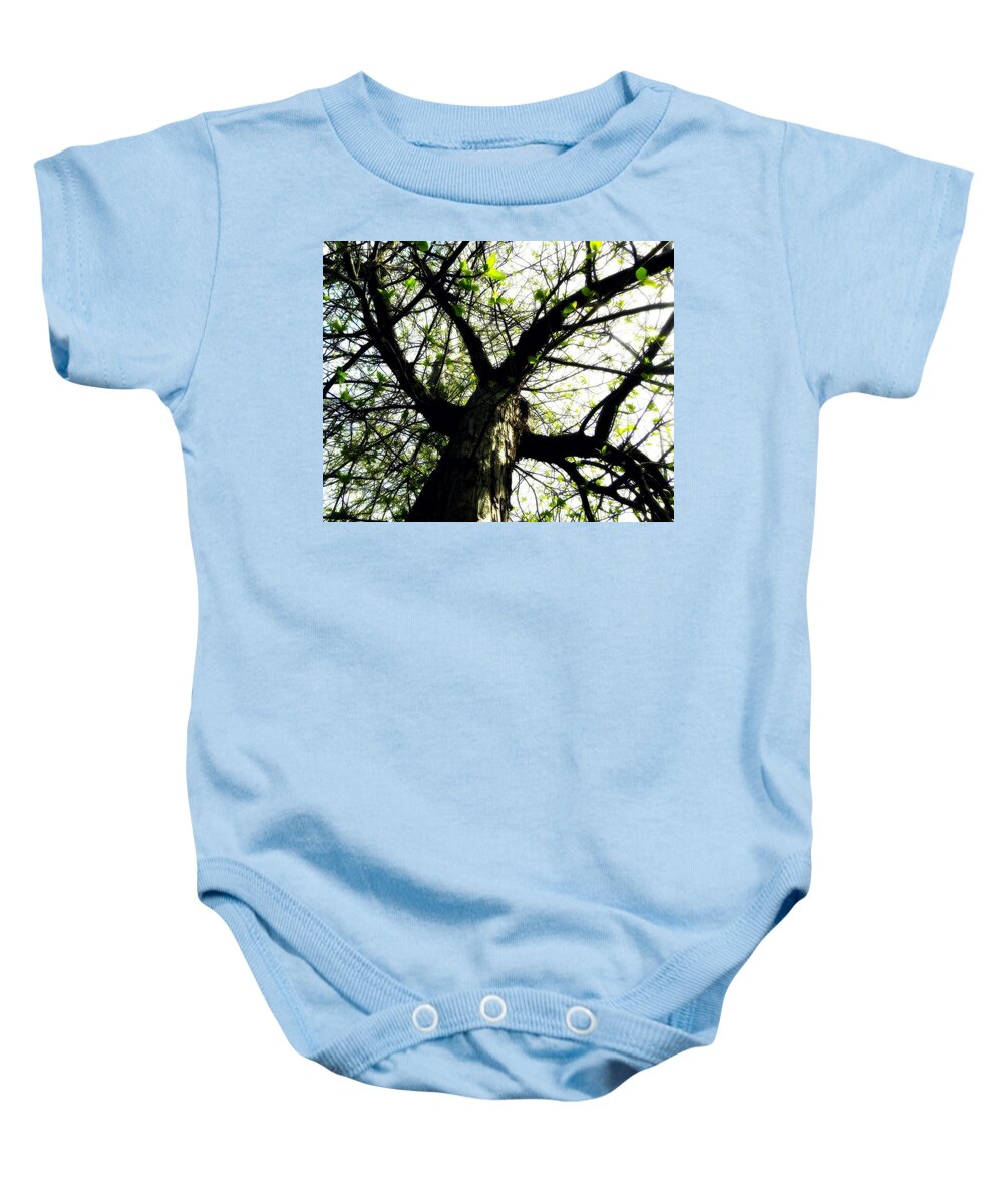 Leaves Baby Onesie featuring the photograph New Leaves by Amanda R Wright