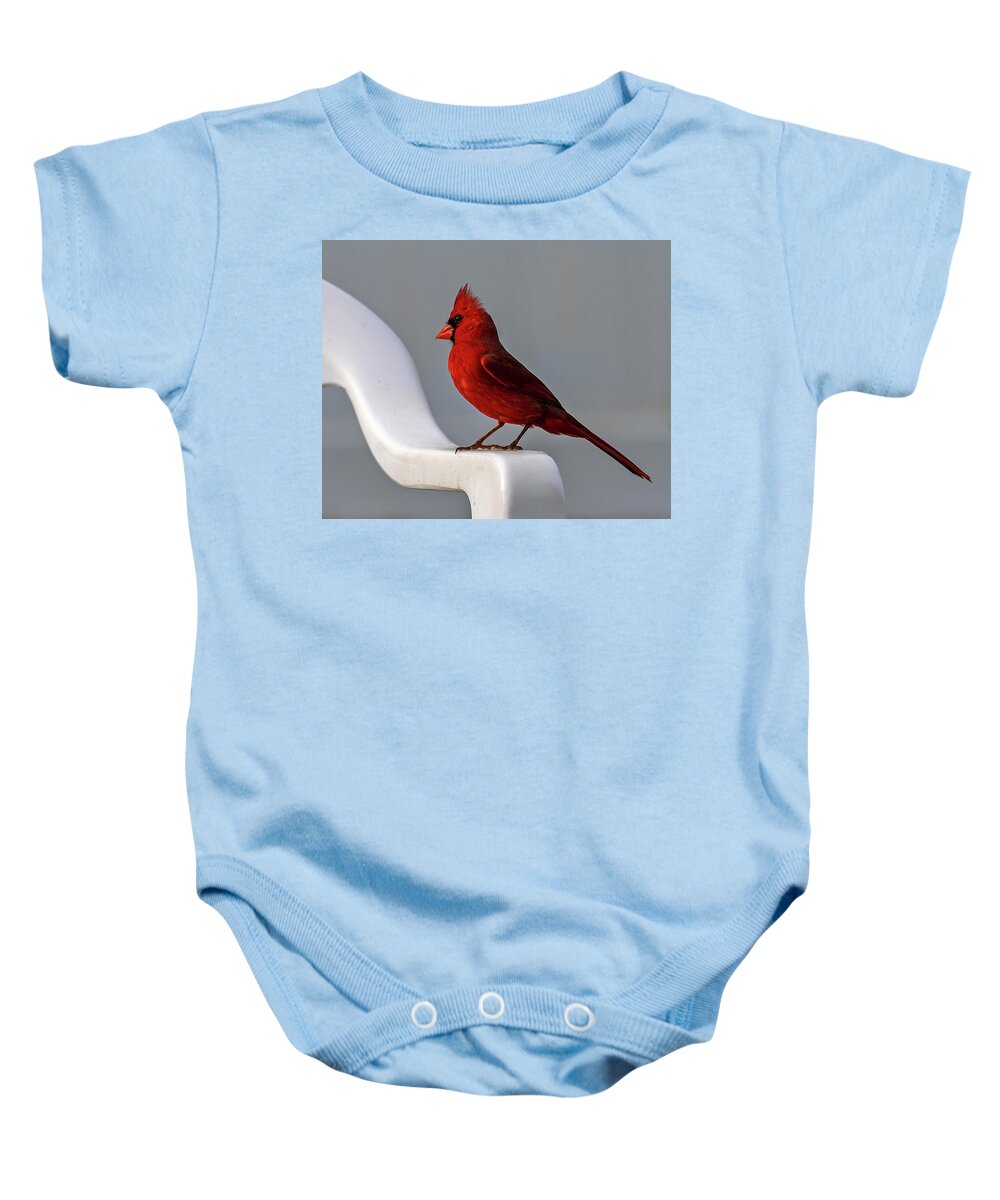 Birds Baby Onesie featuring the photograph Northern Cardinal by Dart Humeston
