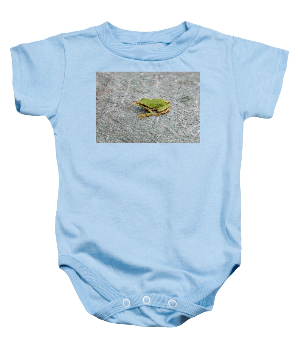Wildlife Photos Baby Onesie featuring the photograph Northern Pacific Tree Frog by Joan Septembre