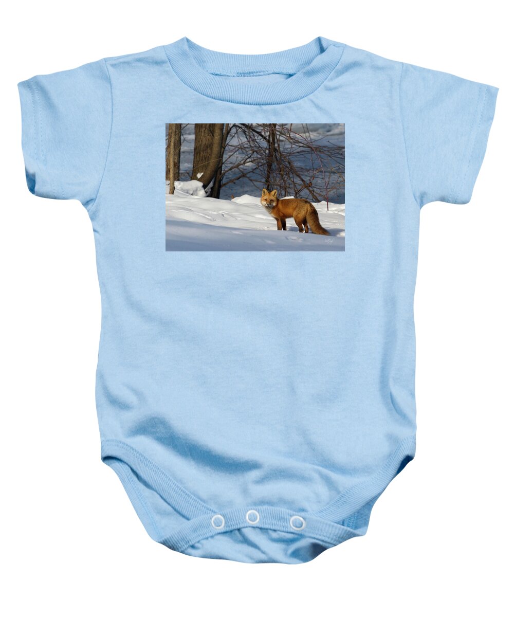 Red Fox Baby Onesie featuring the photograph Office View by Everet Regal
