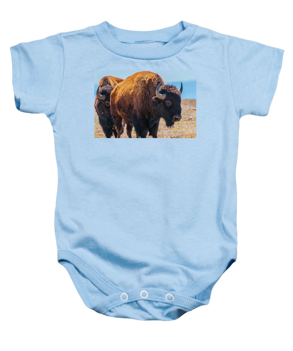 Agriculture Baby Onesie featuring the photograph Bison in Field in the Daytime by Tom Potter