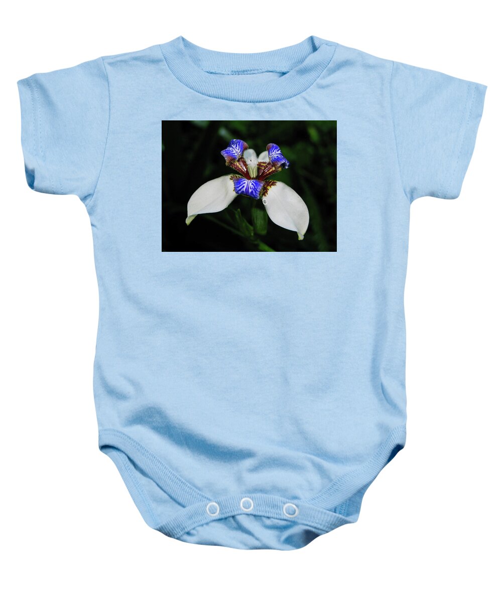 Flora Baby Onesie featuring the photograph Orchid by Segura Shaw Photography