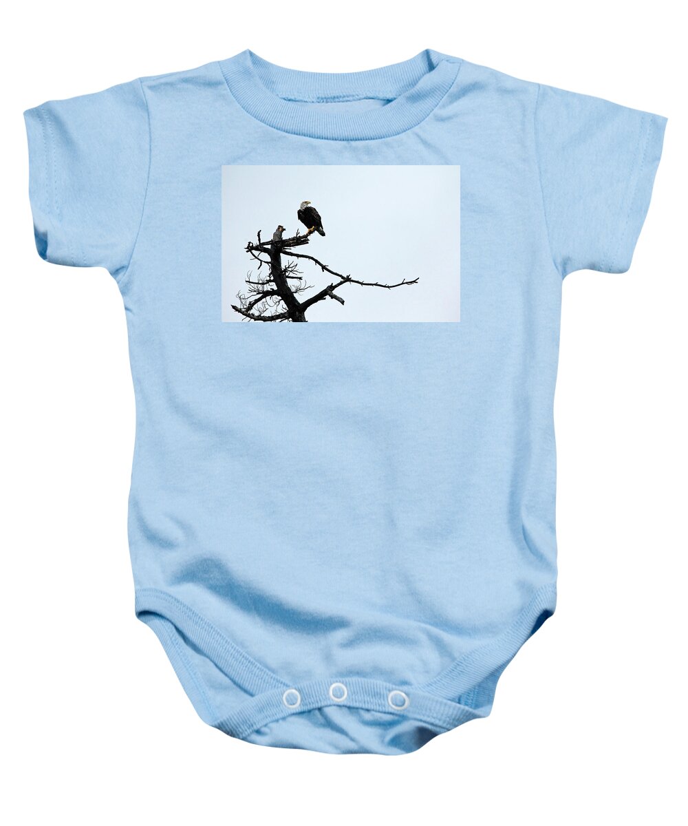 Eagle Baby Onesie featuring the photograph Perched Bald Eagle by Debbie Oppermann