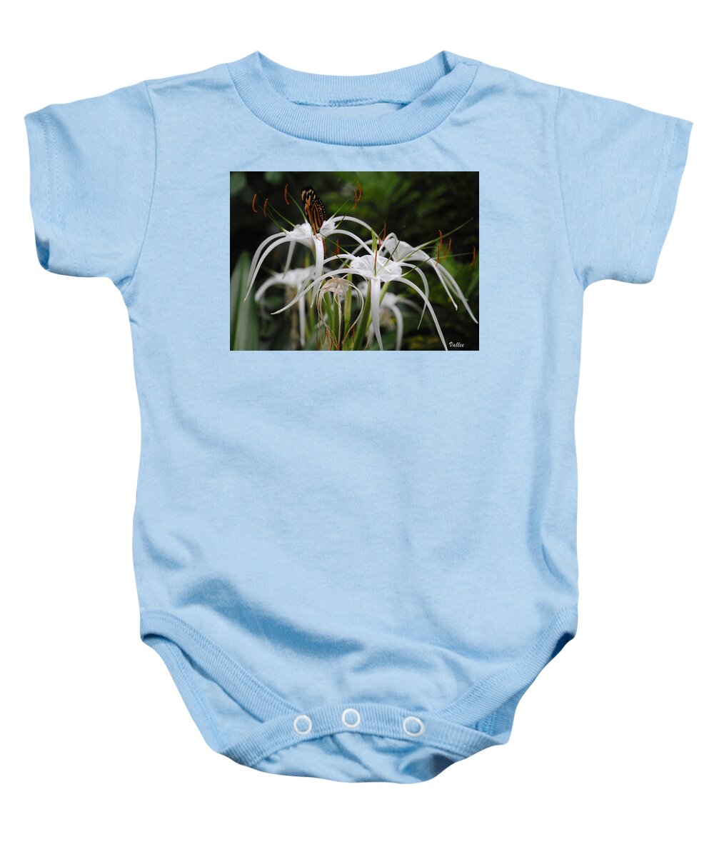 Exotic Baby Onesie featuring the photograph Petal Pusher by Vallee Johnson