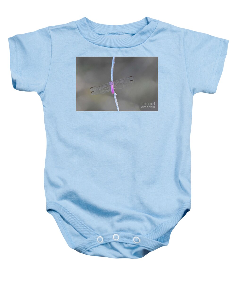 Pink Dragonfly Baby Onesie featuring the digital art Pink Dragonfly by Tammy Keyes