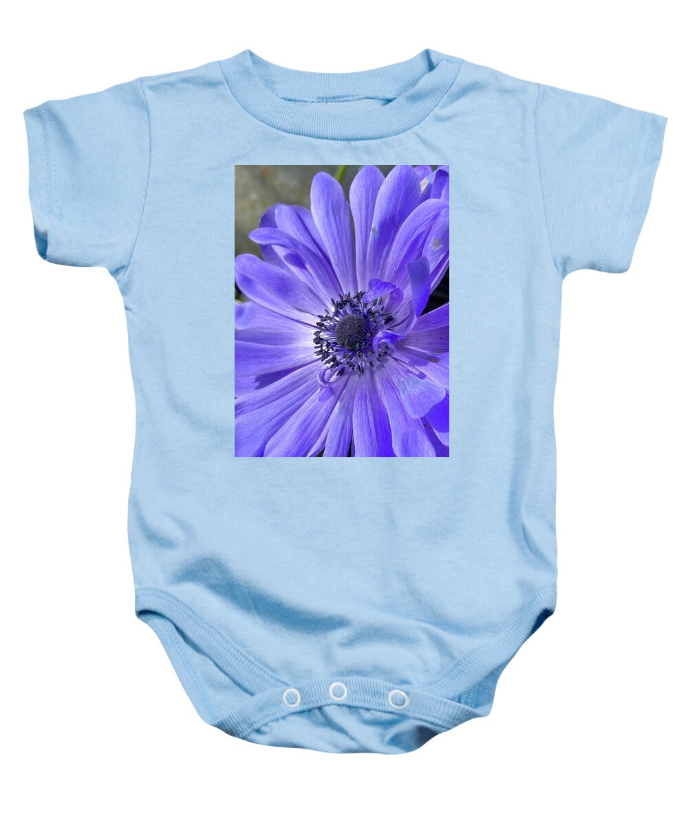 Flowers Baby Onesie featuring the photograph Purple Majesty by Daniele Smith