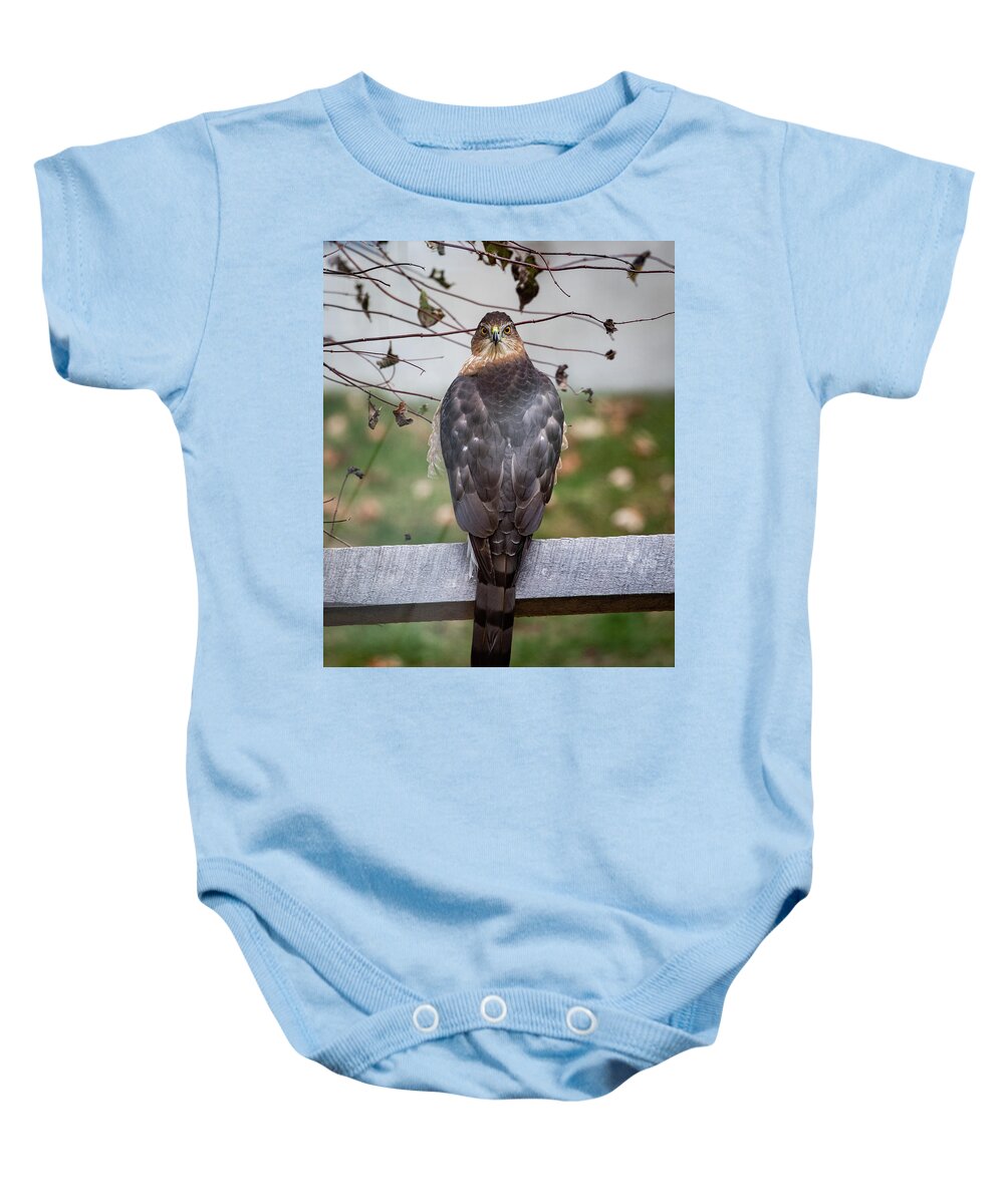 Coopers Hawk Baby Onesie featuring the photograph Rear View by Denise Kopko
