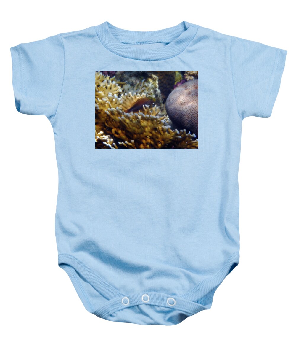 Hawkfish Baby Onesie featuring the photograph Red Sea Freckled Hawkfish by Johanna Hurmerinta