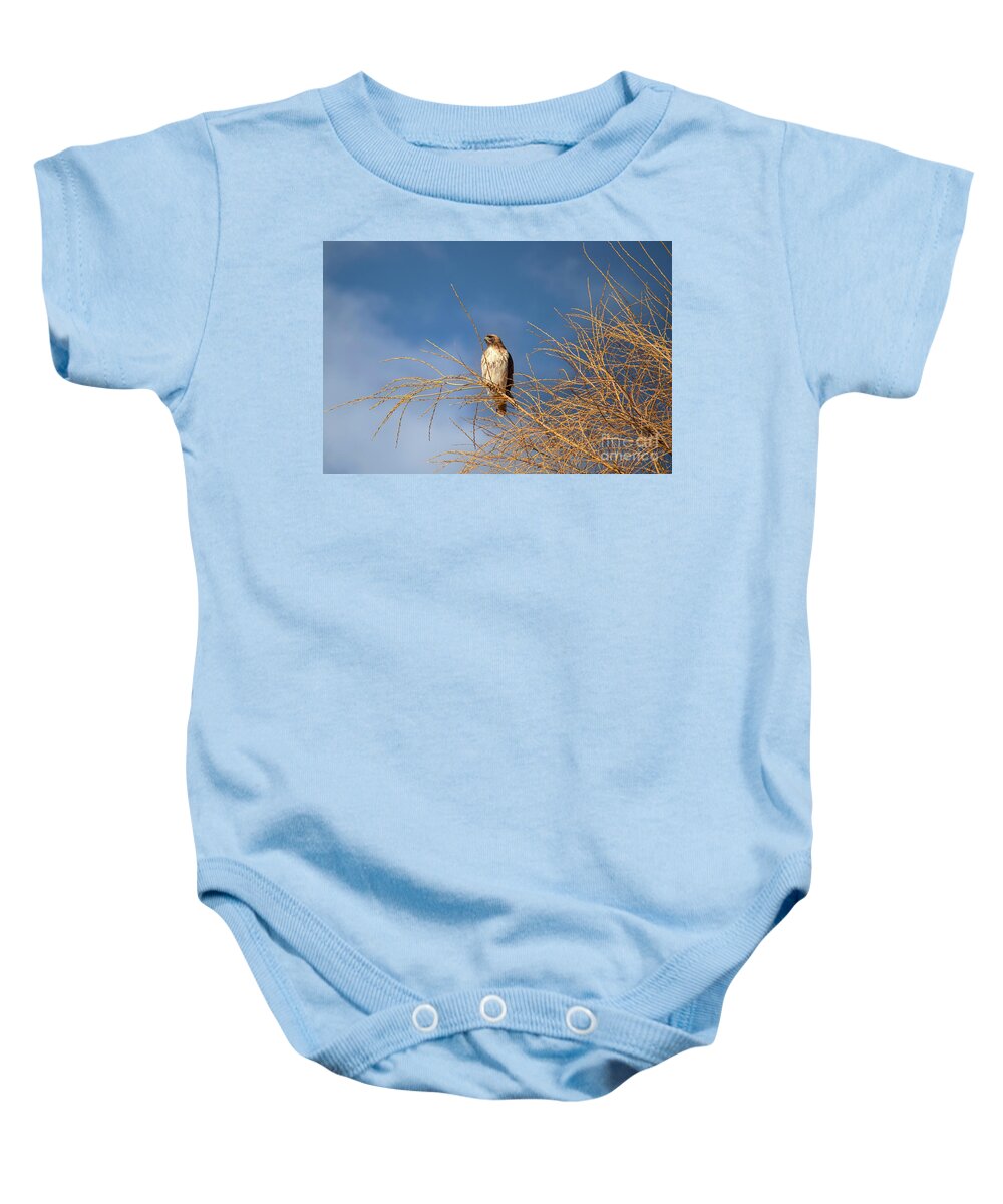 Taos Baby Onesie featuring the photograph Red Tailed Hawk from Arroyo Hondo NM by Elijah Rael