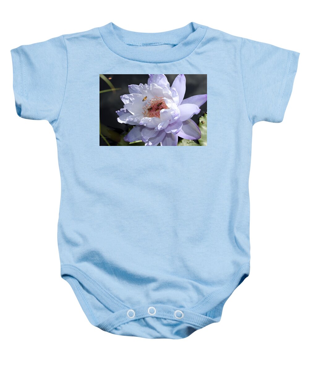 Water Lily Baby Onesie featuring the photograph Ruffled Water Lily by Mingming Jiang