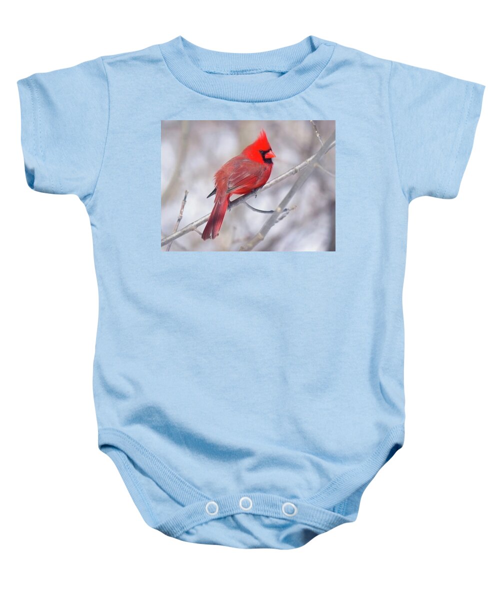 Northern Baby Onesie featuring the mixed media Secret Signals by Jeff Iverson
