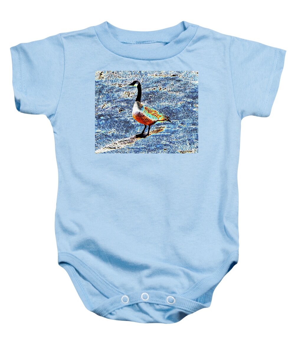 Bird Baby Onesie featuring the photograph Semi-abstract Goose by Andrew Lawrence