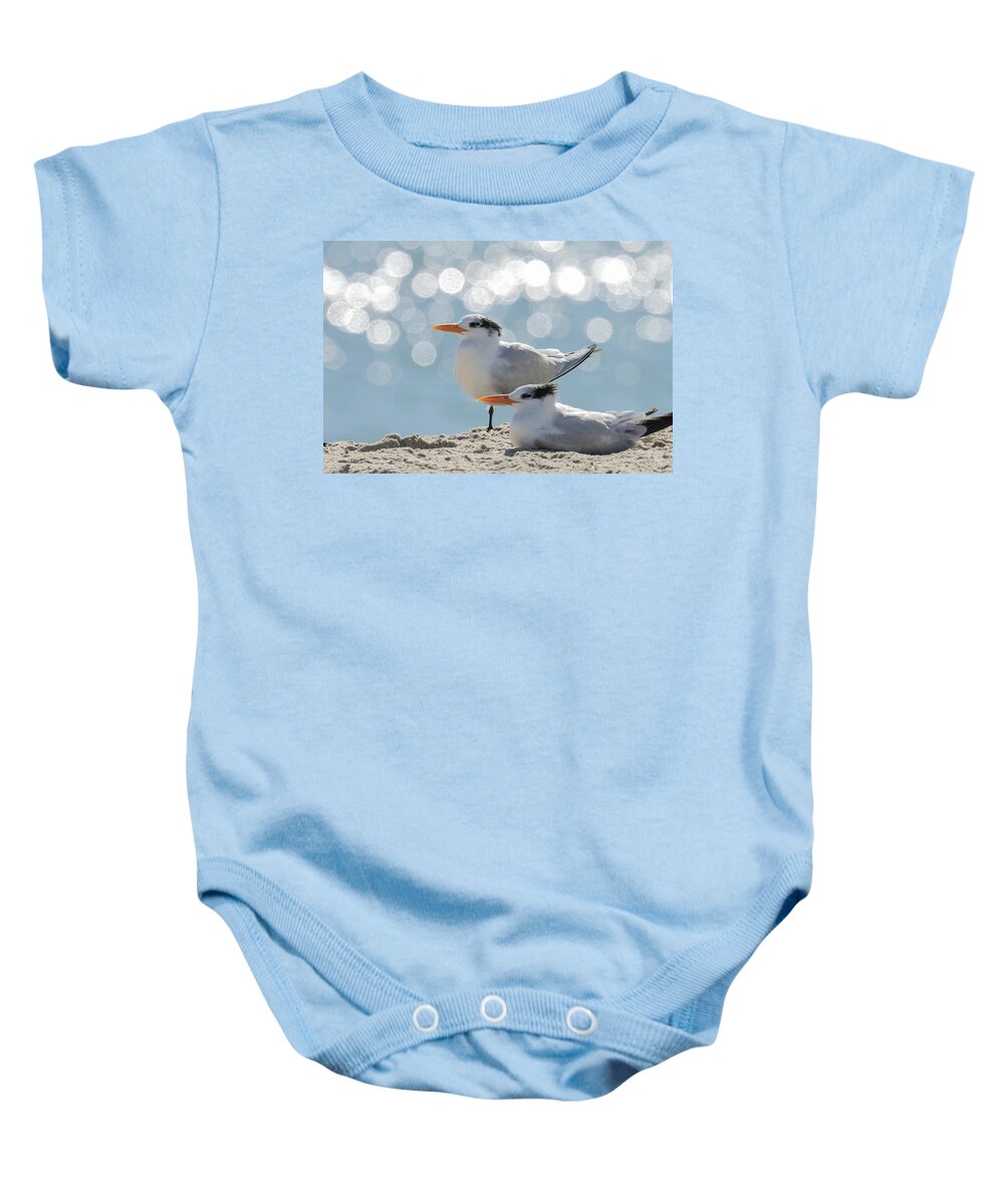 Royal Tern Baby Onesie featuring the photograph Shimmering Observations by RD Allen