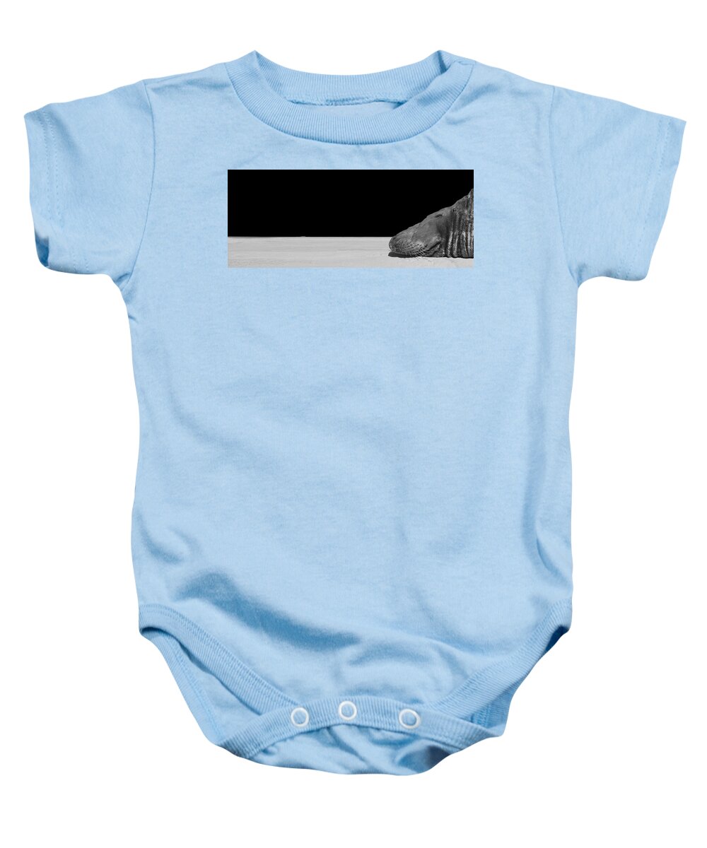 Seal Baby Onesie featuring the photograph Slow Crawl by Jim Signorelli