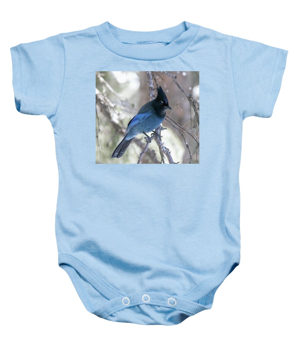 Yellowstone National Park Baby Onesie featuring the photograph Stellar Jay by Cheryl Strahl