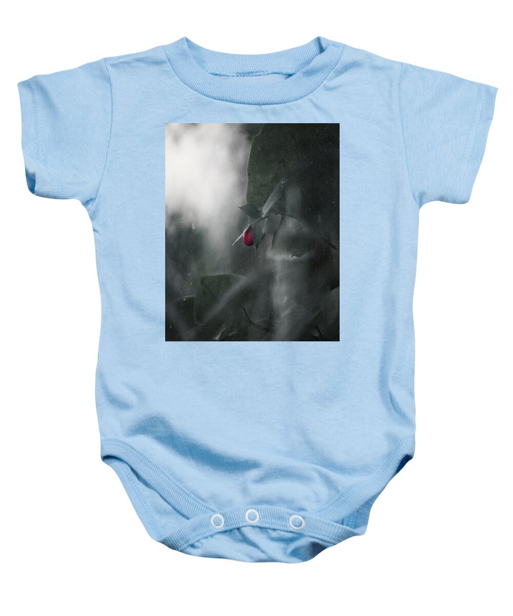 Natura Baby Onesie featuring the photograph The Magic Forest by Auranatura Art
