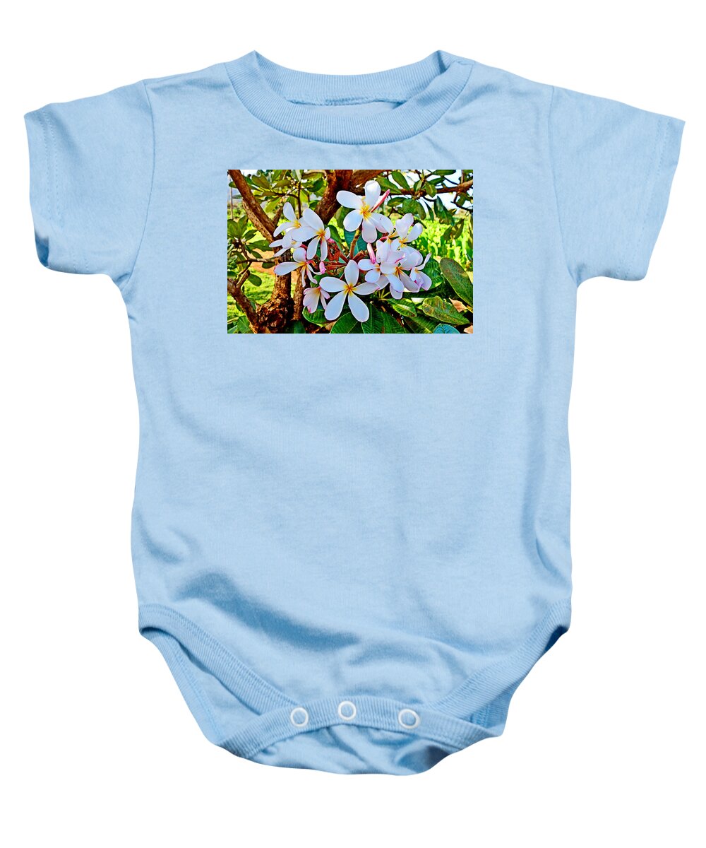 Waikiki Baby Onesie featuring the photograph Tropical Plantation Maui Study 29 by Robert Meyers-Lussier