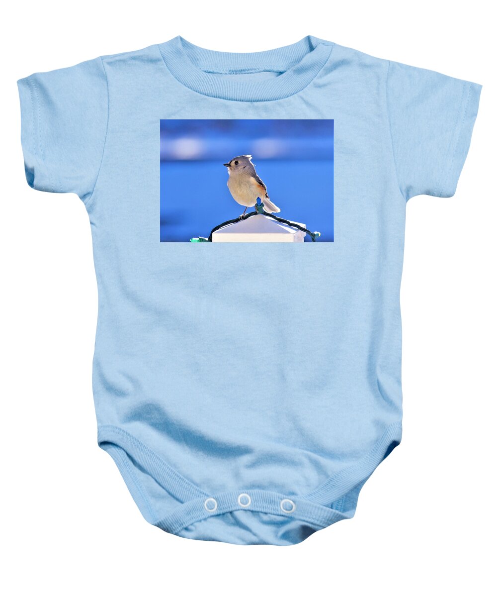 - Tufted Titmouse 3 Baby Onesie featuring the photograph - Tufted Titmouse 3 by THERESA Nye