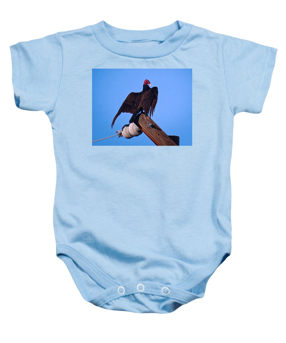 Arizona Baby Onesie featuring the photograph Turkey Vulture in Horaltic Pose by Judy Kennedy