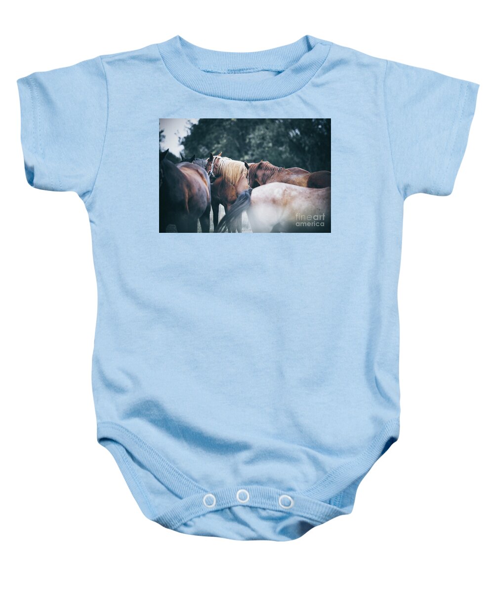 Horses Baby Onesie featuring the photograph Two calm horses by Dimitar Hristov