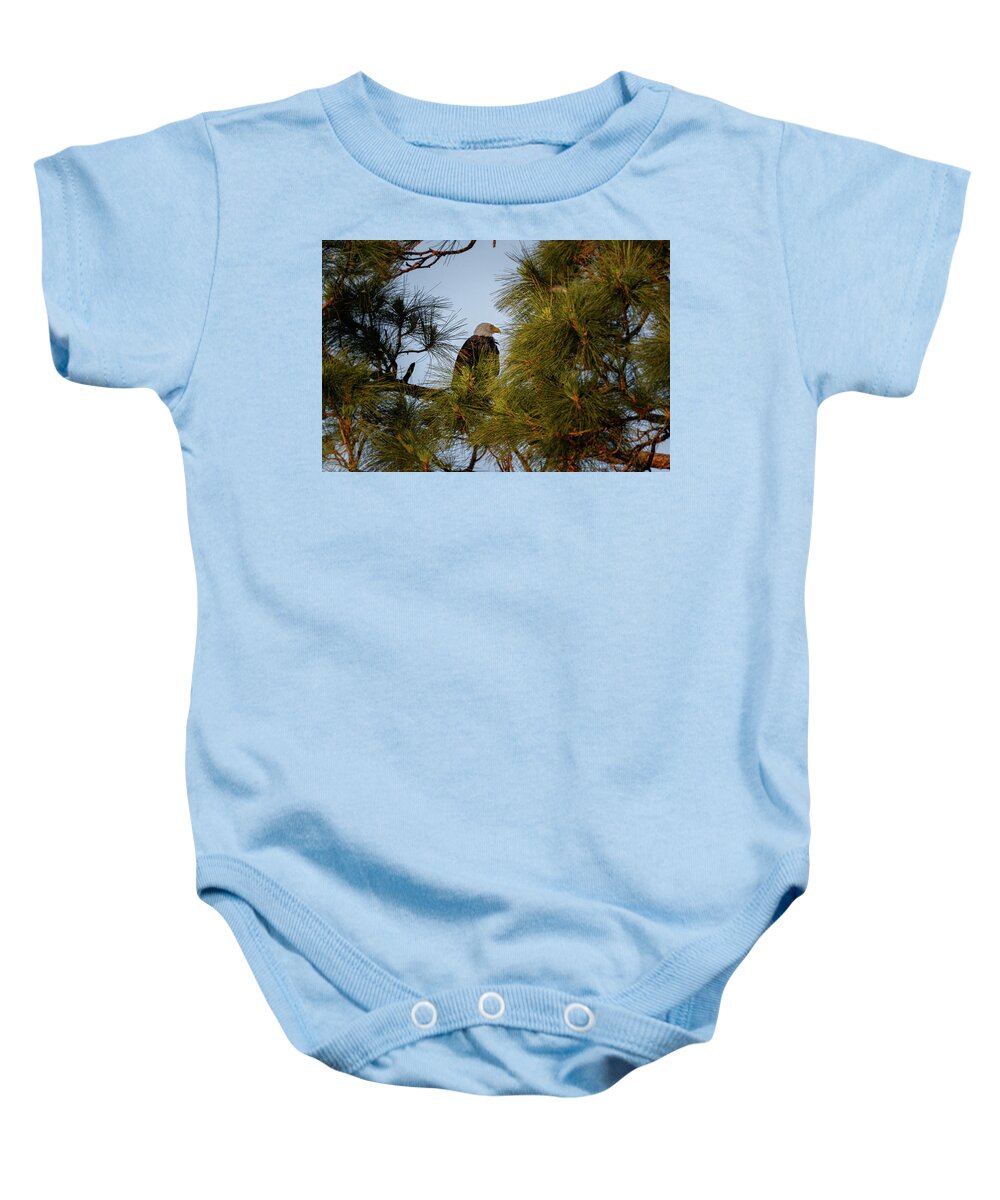 Bird Baby Onesie featuring the photograph Viewing Sunset by Les Greenwood