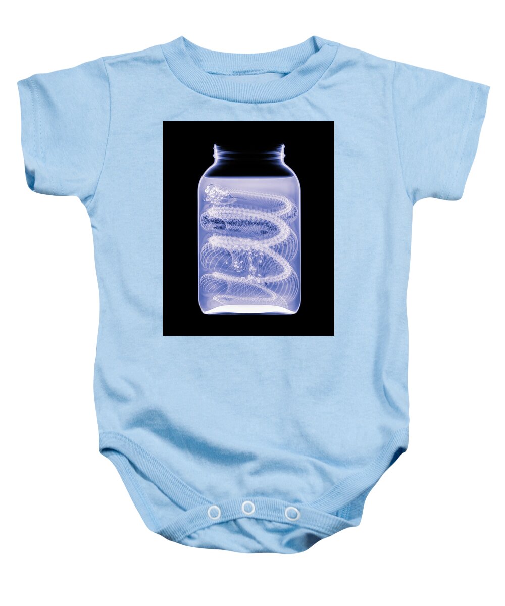 Reptile Baby Onesie featuring the photograph Western Diamondback -2 by Rob Graham